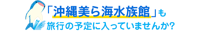 沖縄美ら海水族館も旅行の予定に入ってませんか?