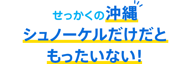 せっかくの沖縄!シュノーケルだけだともったいない!