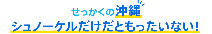 せっかくの沖縄!シュノーケルだけだともったいない!