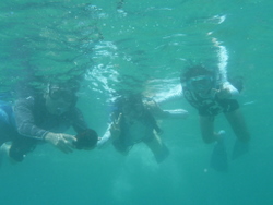 P10001713.jpg