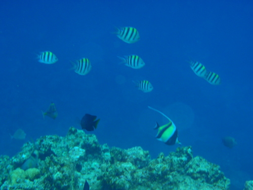 PA112324.jpg