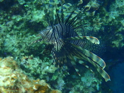 PA112339.jpg