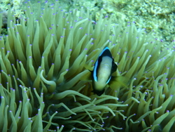 PA112380.jpg