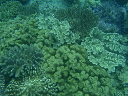 PA152461.jpg